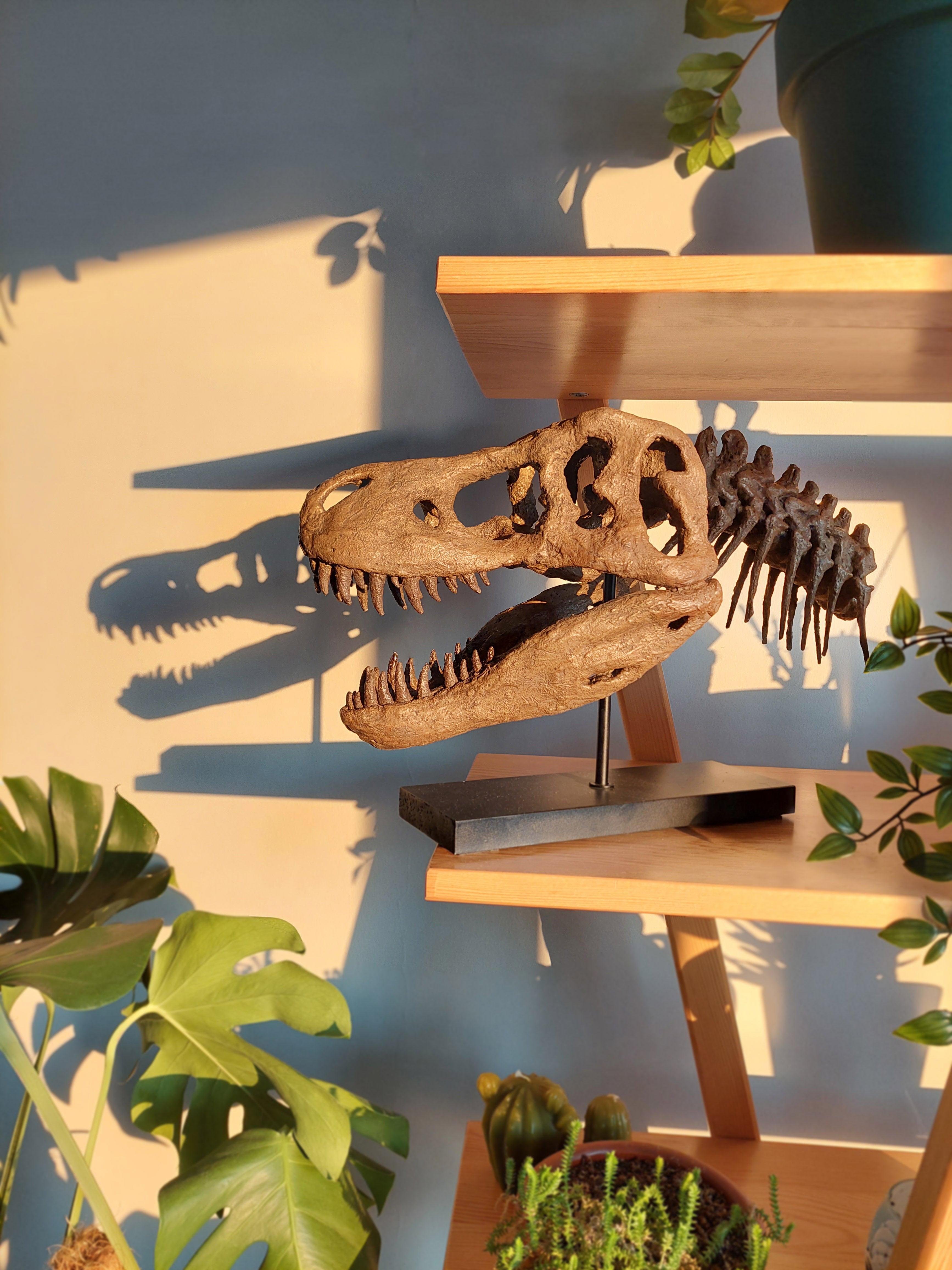 T-Rex - Omurgalı Heykeli
