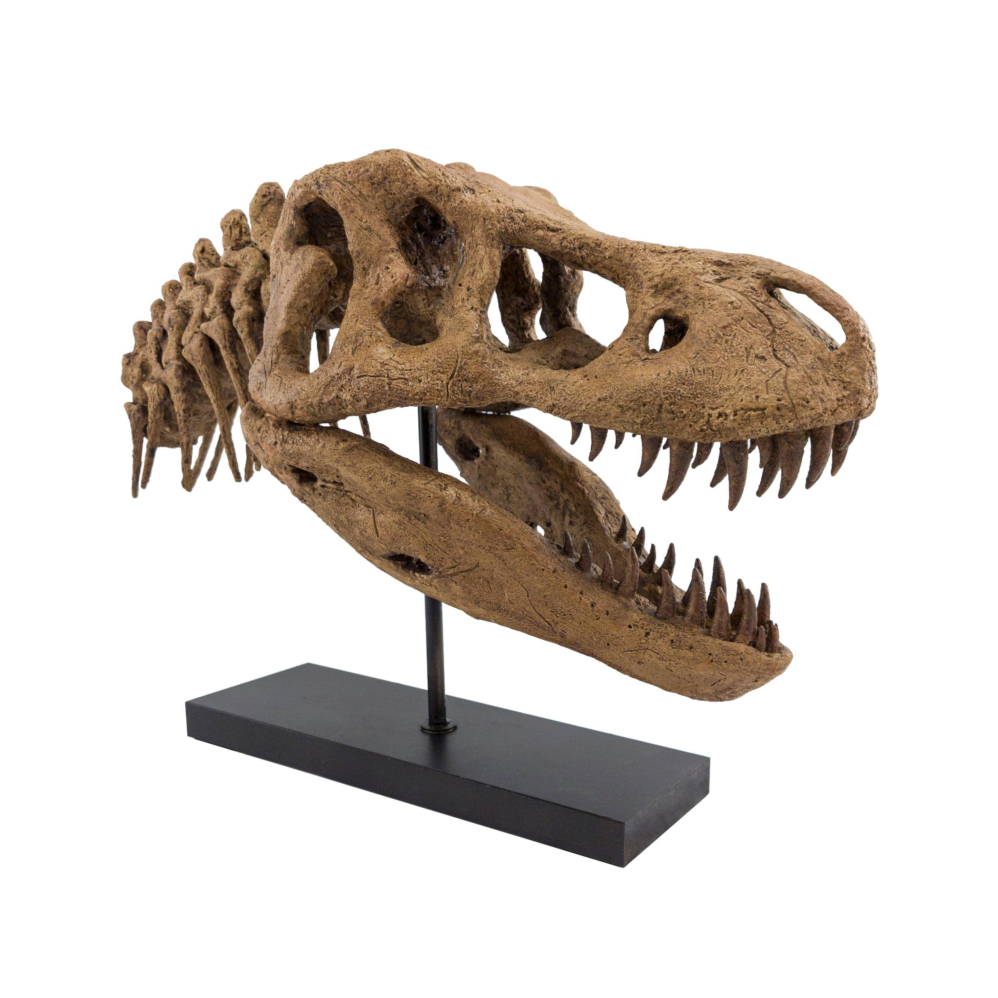 T-Rex - Omurgalı Heykeli
