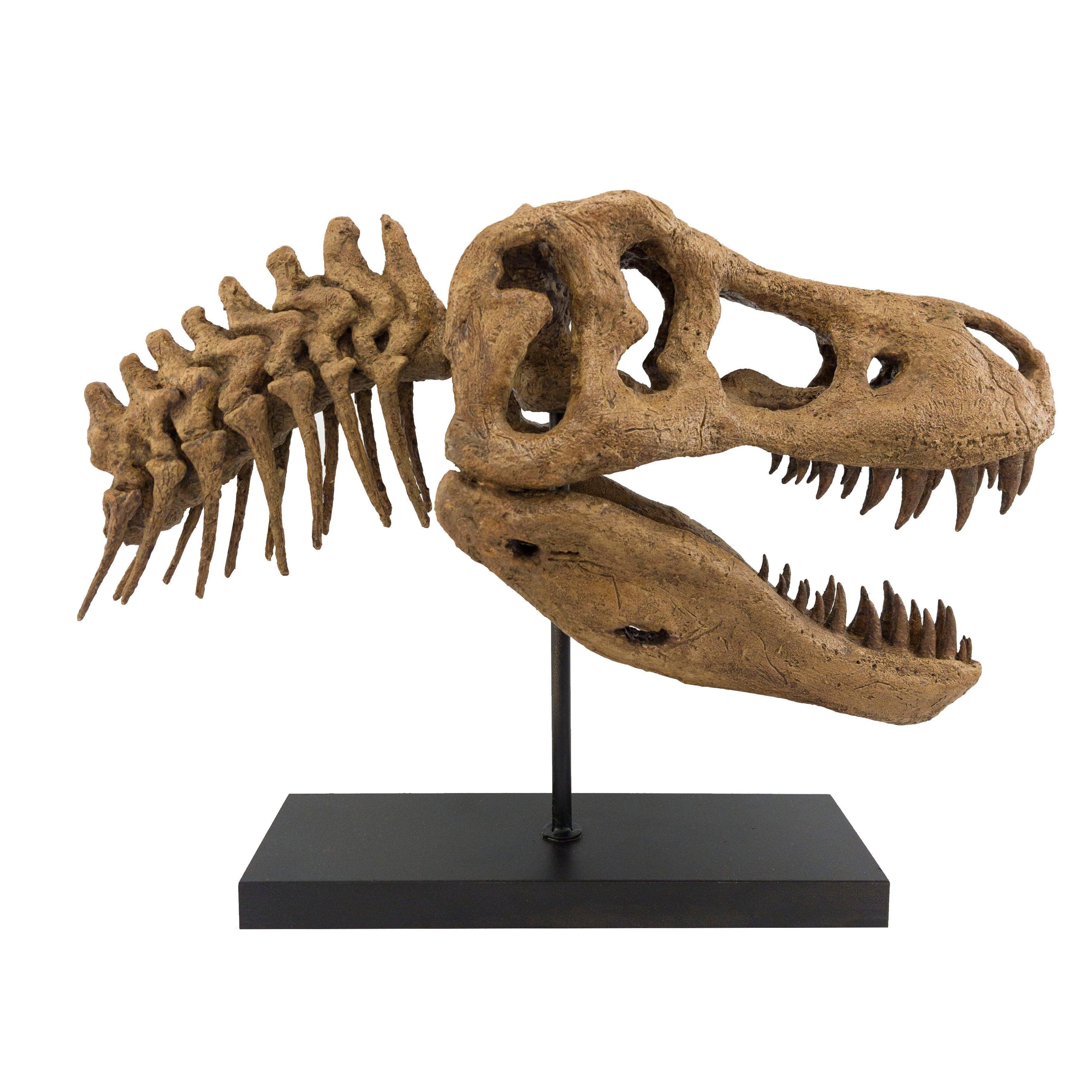 T-Rex - Omurgalı Heykeli