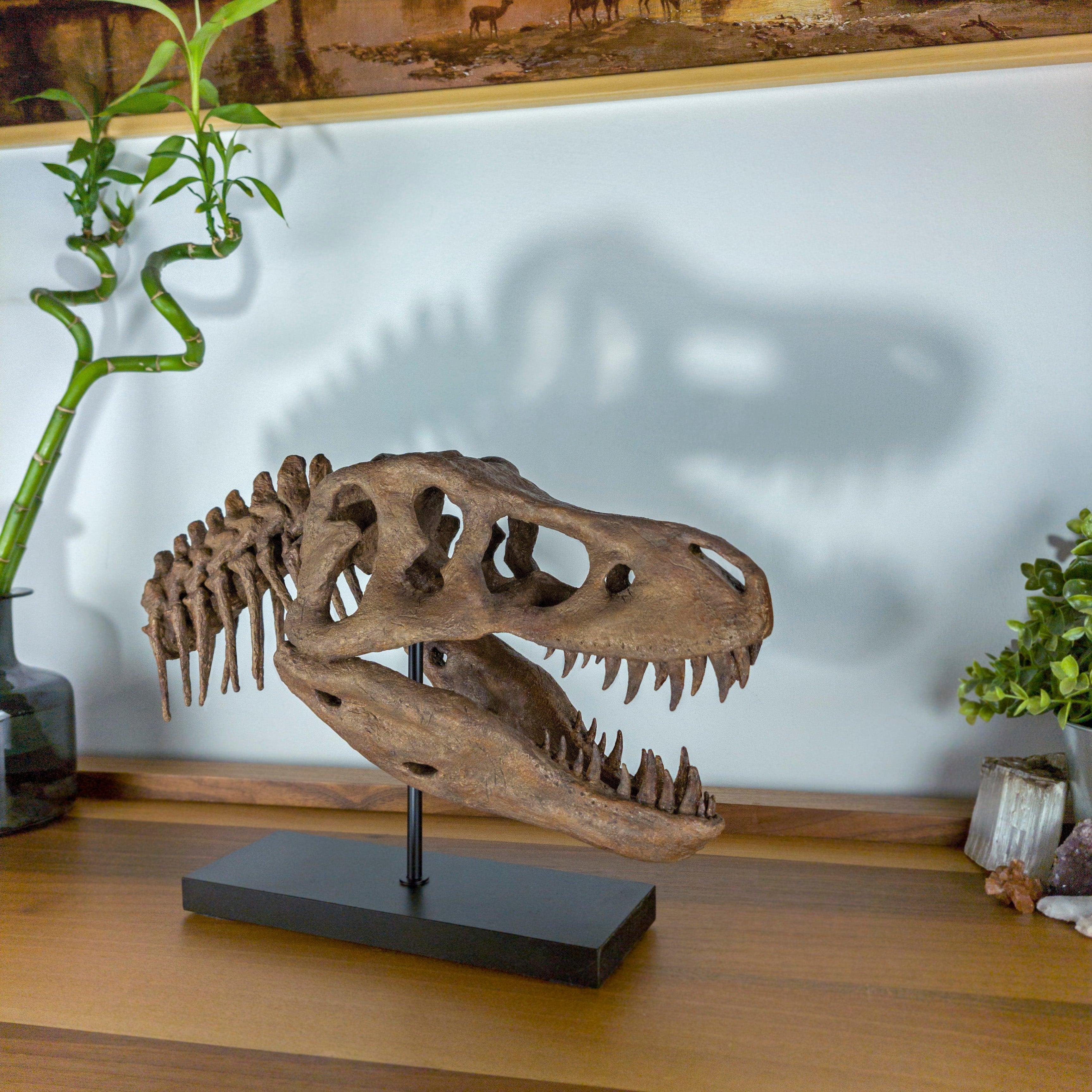 T-Rex - Omurgalı Heykeli