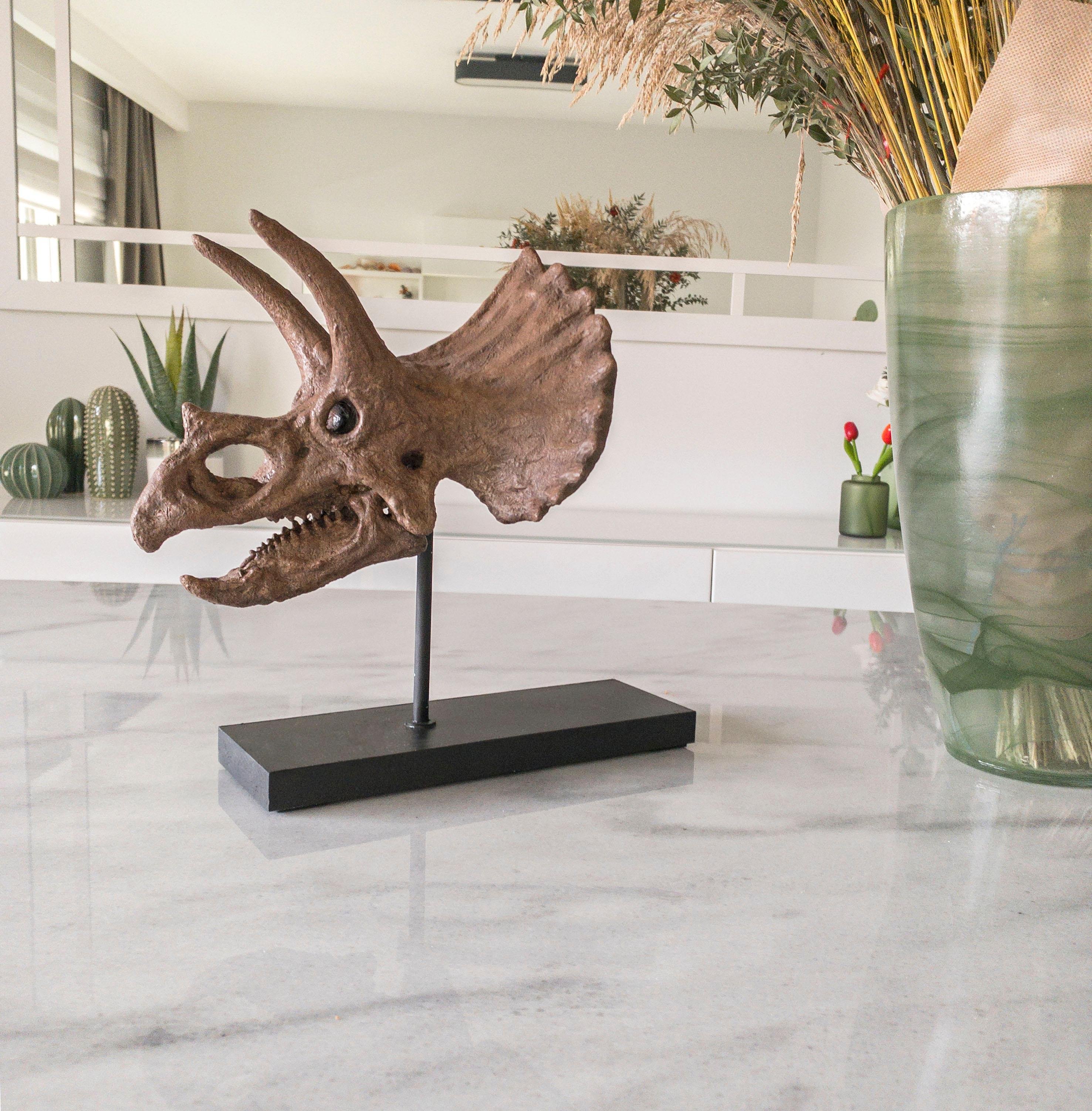 Triceratops Fosil Heykeli