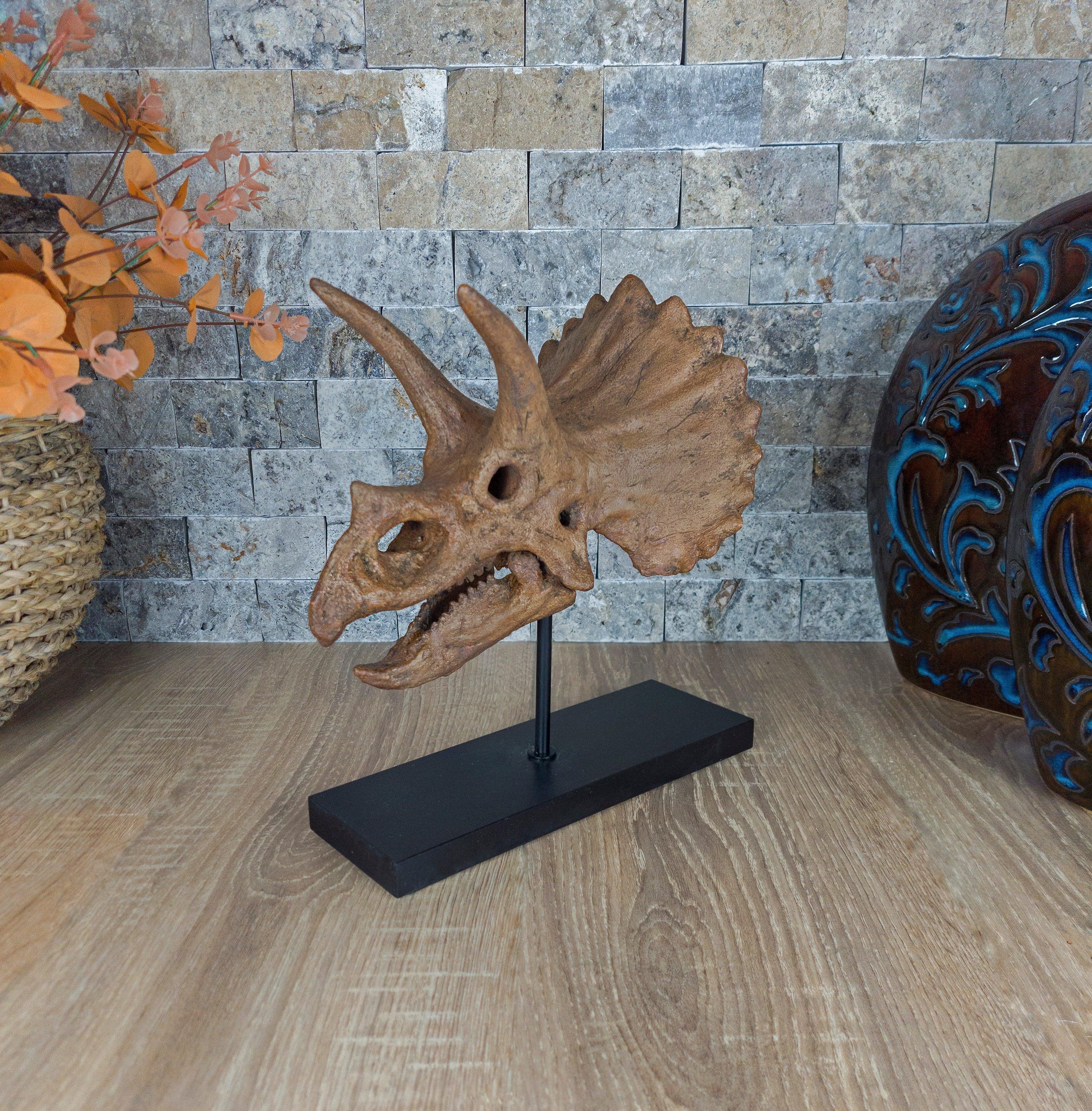 Triceratops Fosil Heykeli
