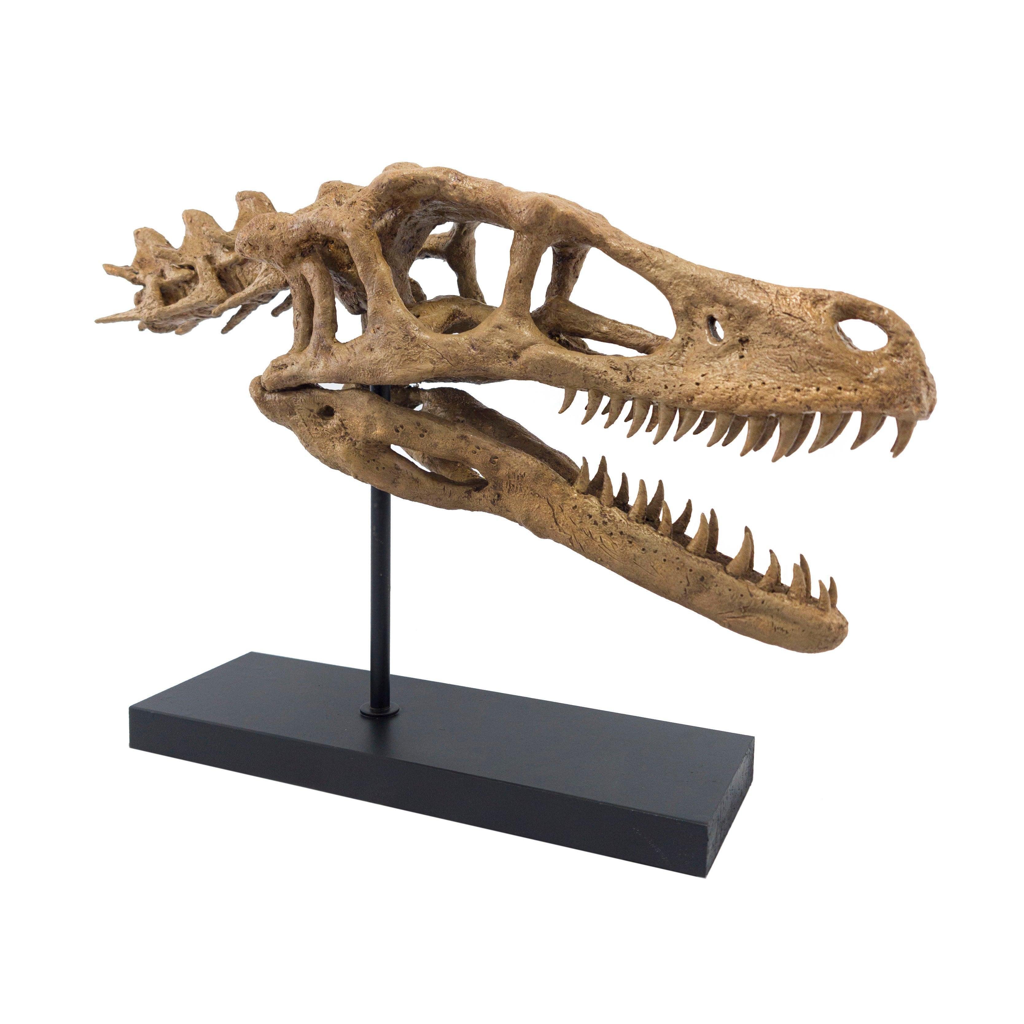 Velociraptor - Omurgalı Heykeli