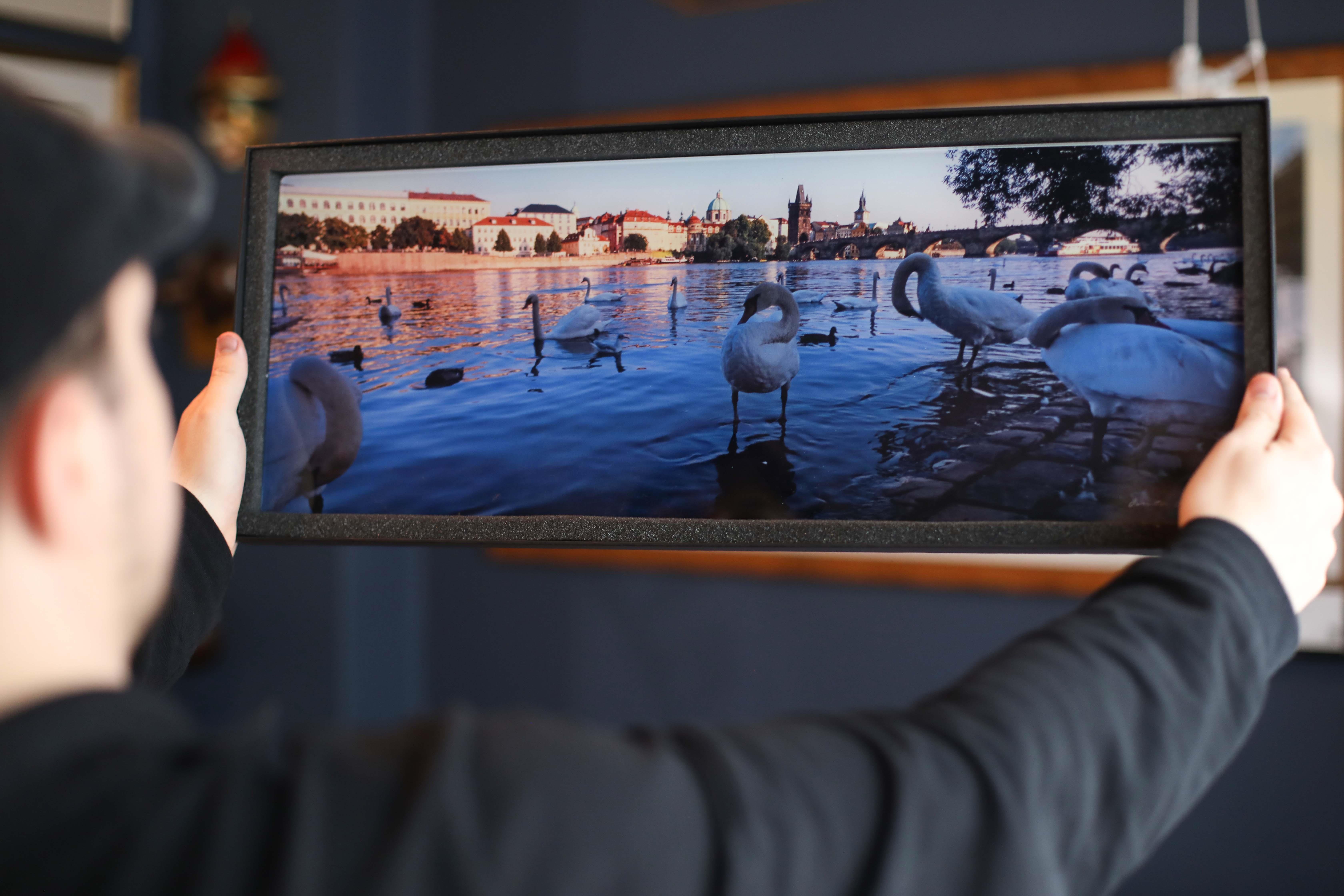 Vltava Nehri'nin Kuğuları | Prag