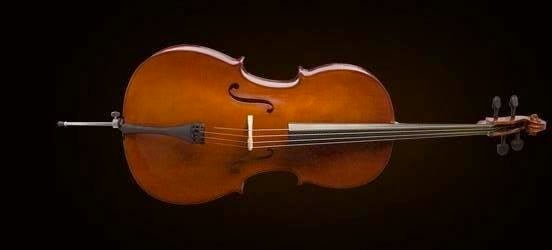 CELLO +KILIF+YAY, GERMAN SYS, SCALE 1/4, KARARTILM