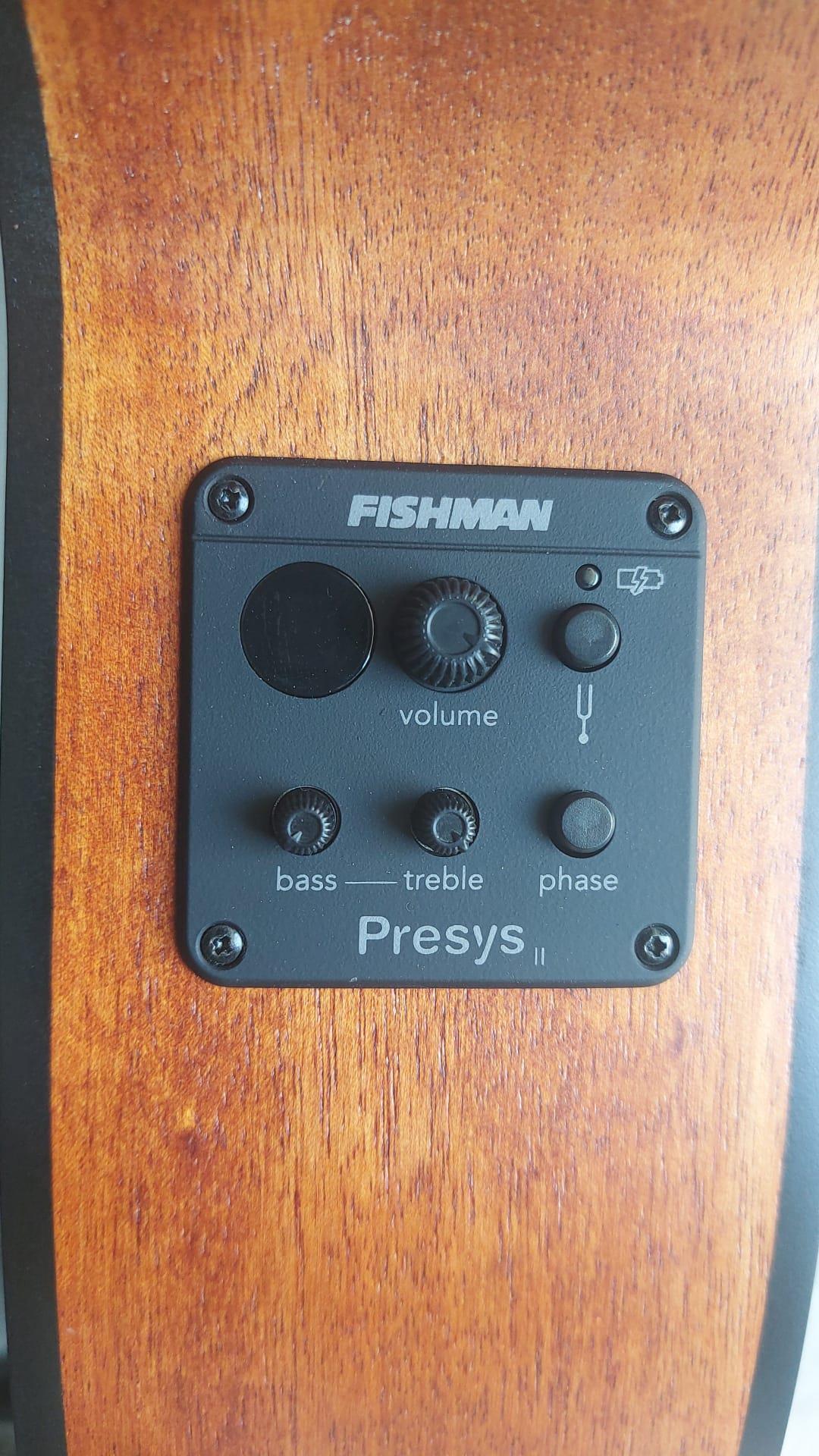 ELEKTRO KLAS?K G?TAR, FISHMAN MANYET?K, OPEN PORE