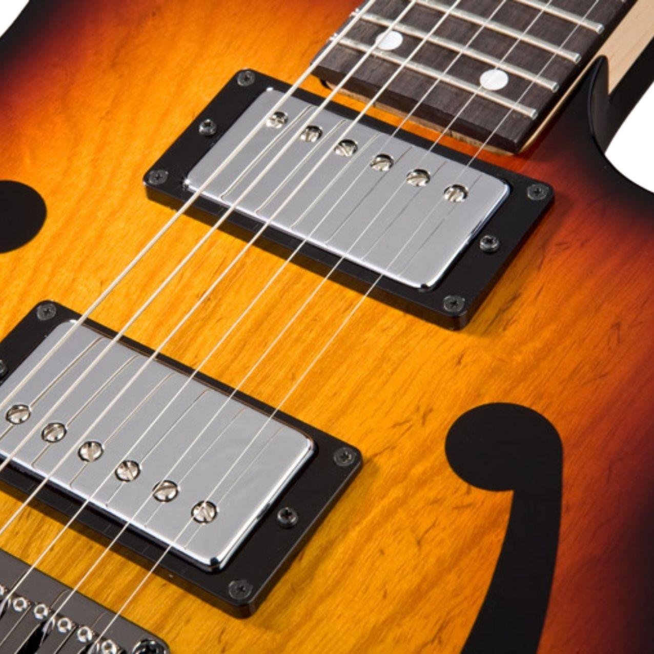 ELKTRO GİTAR  KUTULU (PAUL GILBERT):IBANEZ JAPON