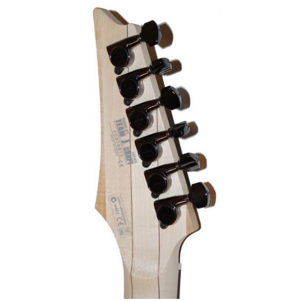 ELKTRO GİTAR  KUTULU (PAUL GILBERT):IBANEZ JAPON