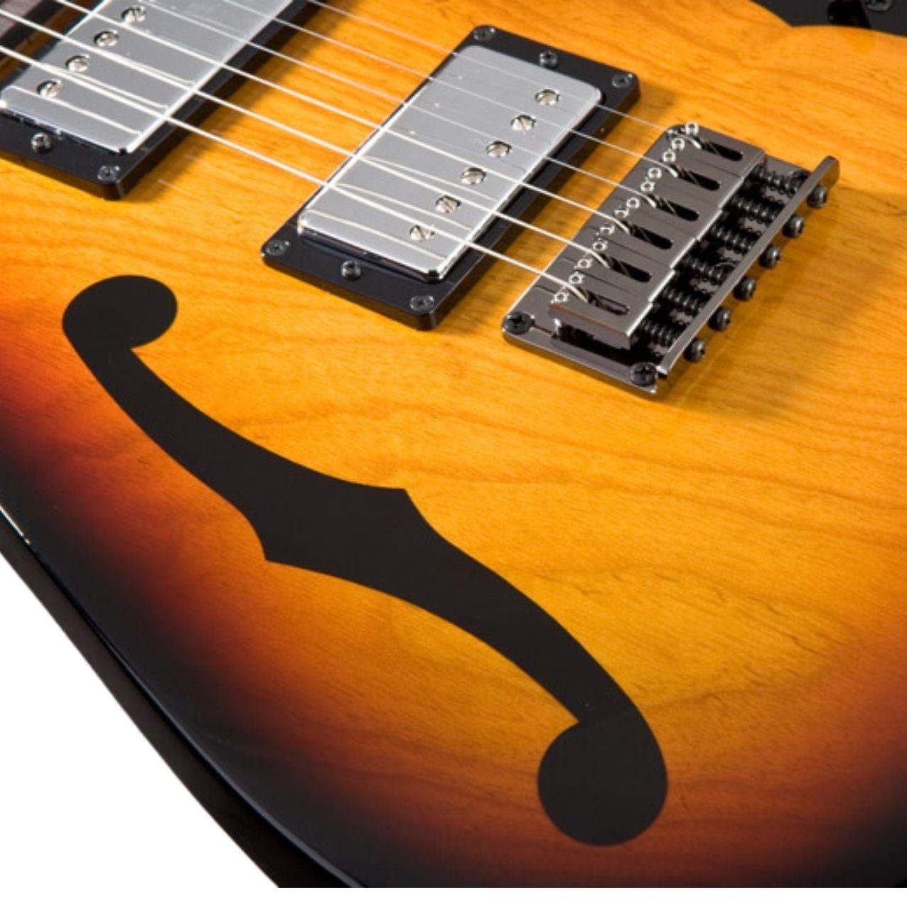 ELKTRO GİTAR  KUTULU (PAUL GILBERT):IBANEZ JAPON