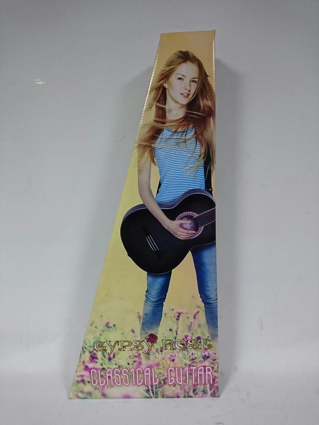 KLAS?K G?TAR GYPSY ROSE SET (GIGBAG, STRAP, STICKE