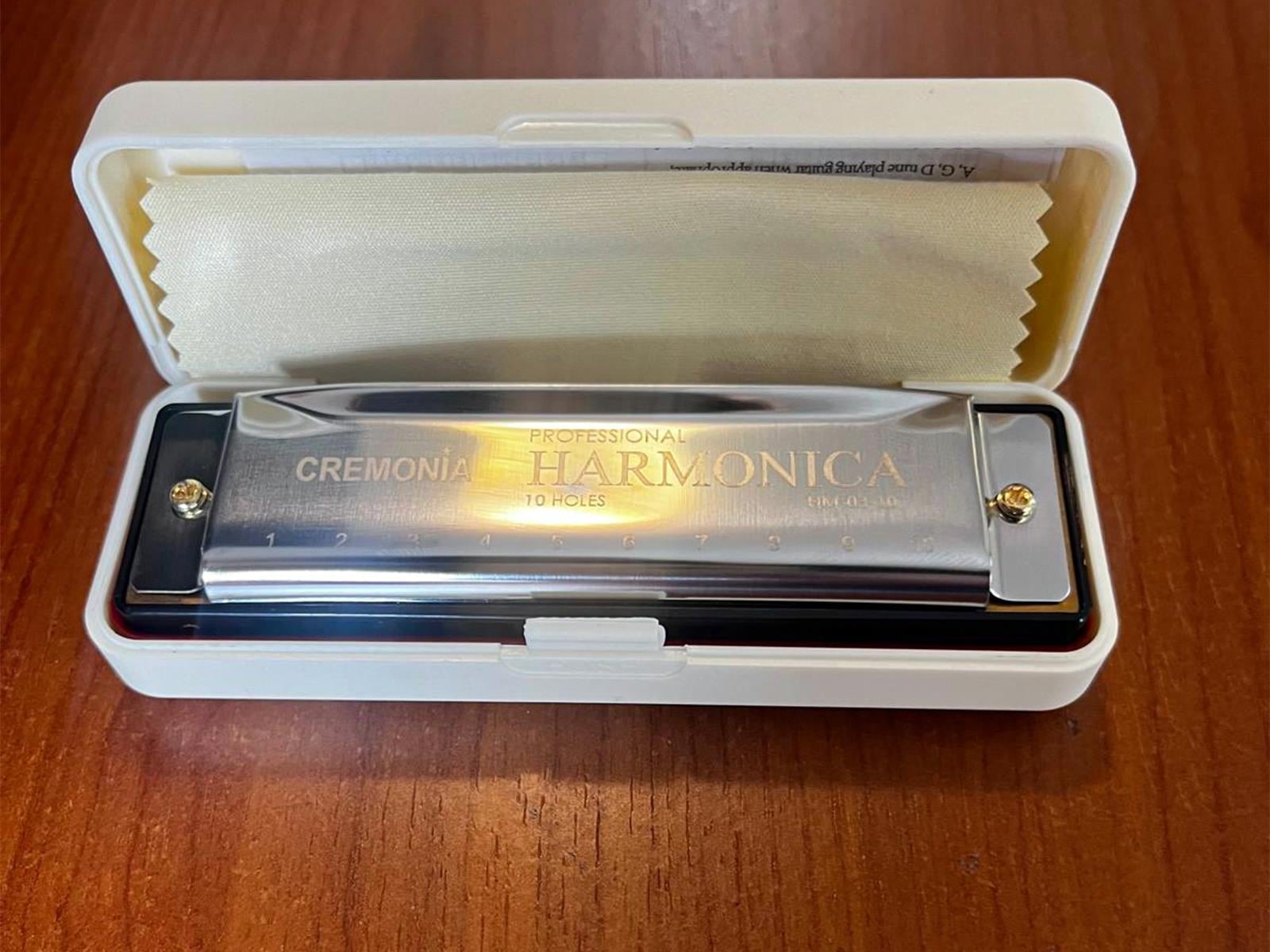 MIZIKA 10 DELİK, MODEL: PROFESSIONAL HARMONICA