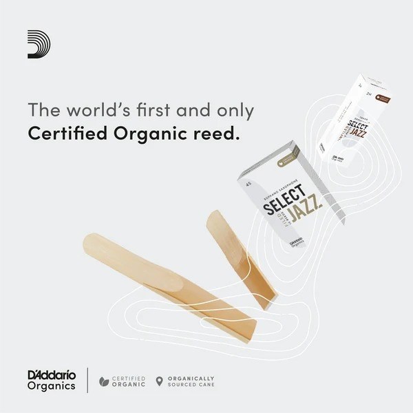 ORGANIC SELECT JAZZ FILED  ALTO SAKSAFON KAMIŞI