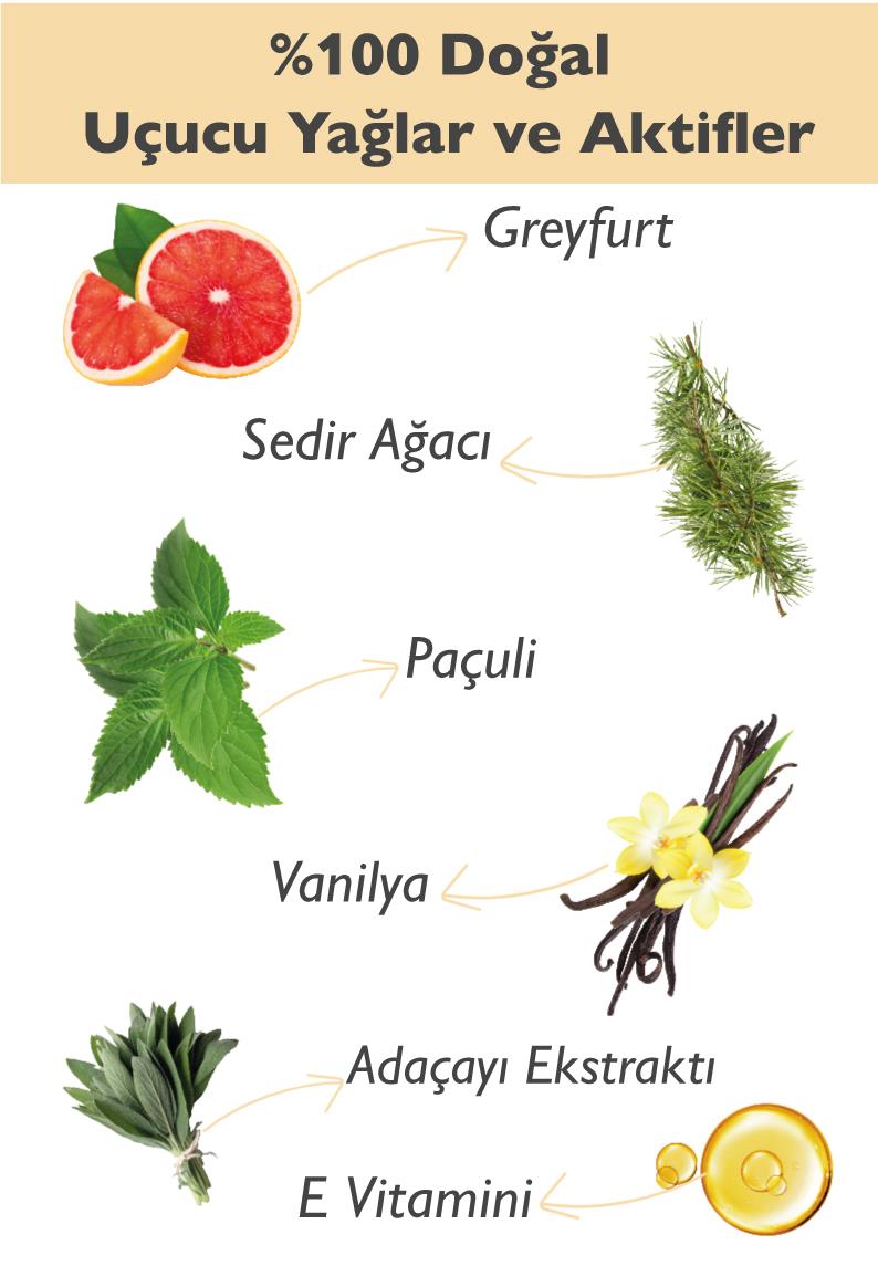 Roll-on Deodorant Greyfurt & Paçuli & Sedir Ağacı & Vanilya
