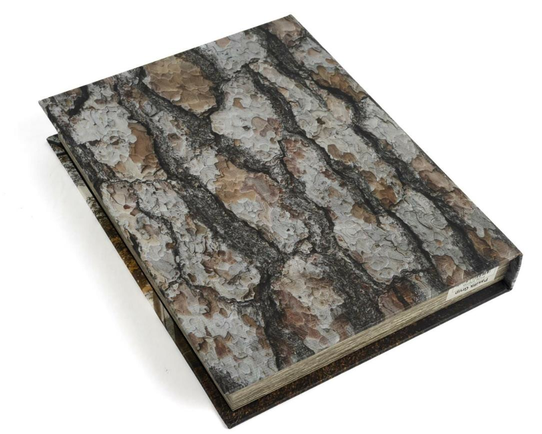 mikasa-moor-29x22x4-cm-living-woods-ki-392-72.png