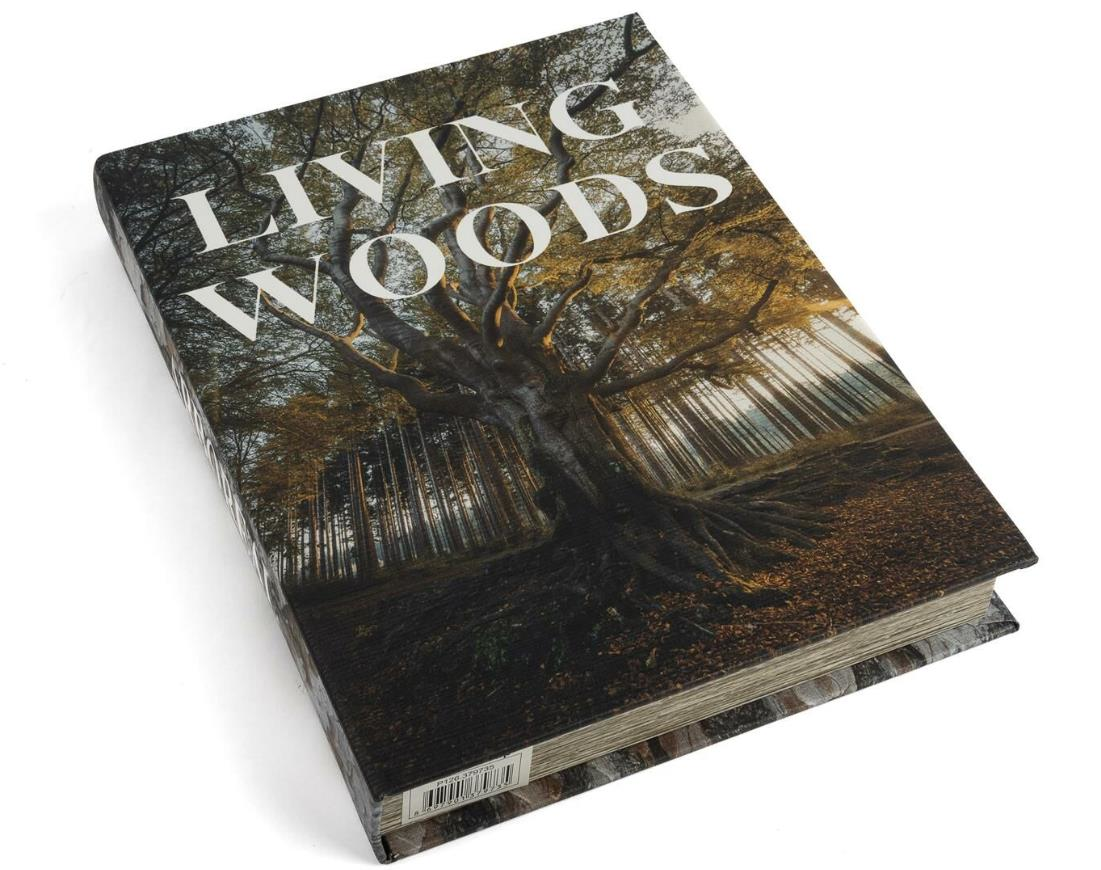 mikasa-moor-29x22x4-cm-living-woods-ki-9cb-44.png