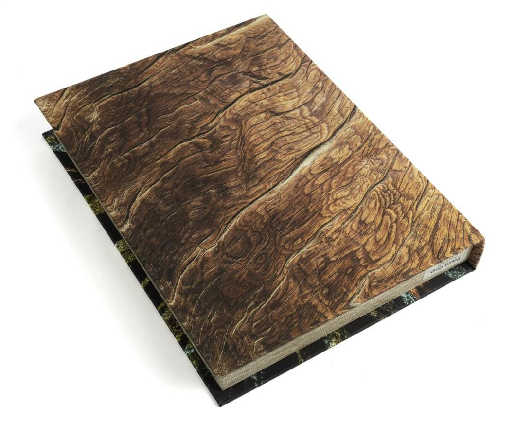 mikasa-moor-29x22x4-cm-nature-forest-k-4f0de4.png