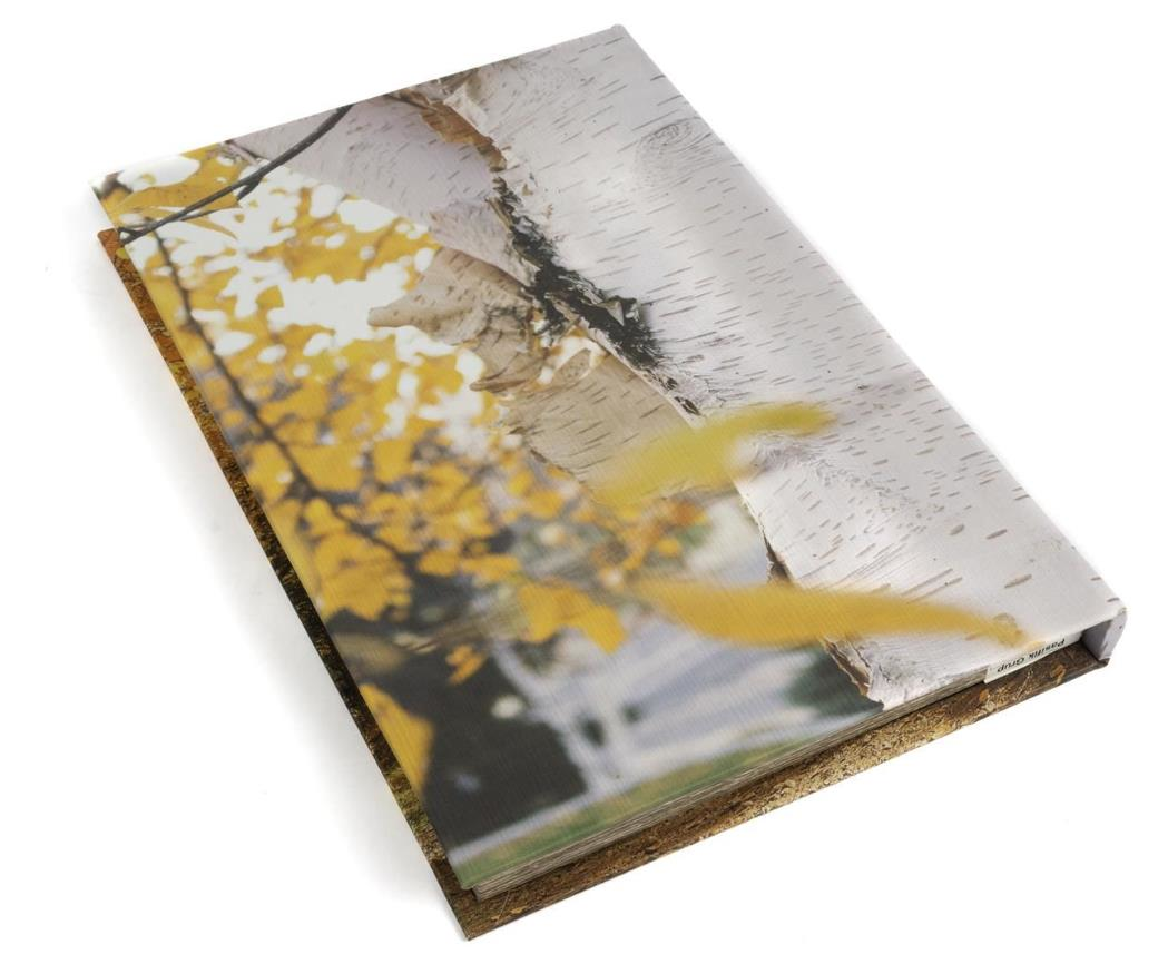 mikasa-moor-35x24x3-cm-nature-kitap-ku--4f11-.png