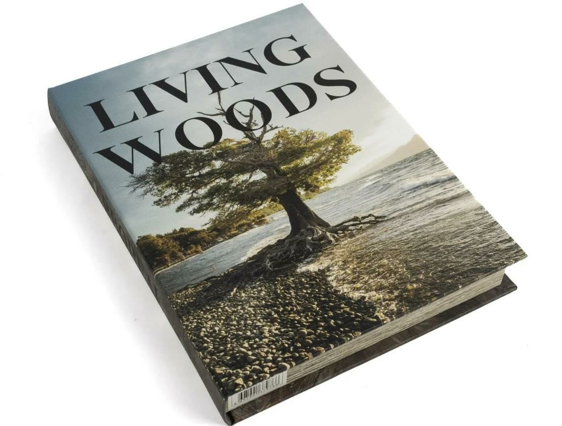 mikasa-moor-v2-29x22x4-cm-living-woods--8feb-.png
