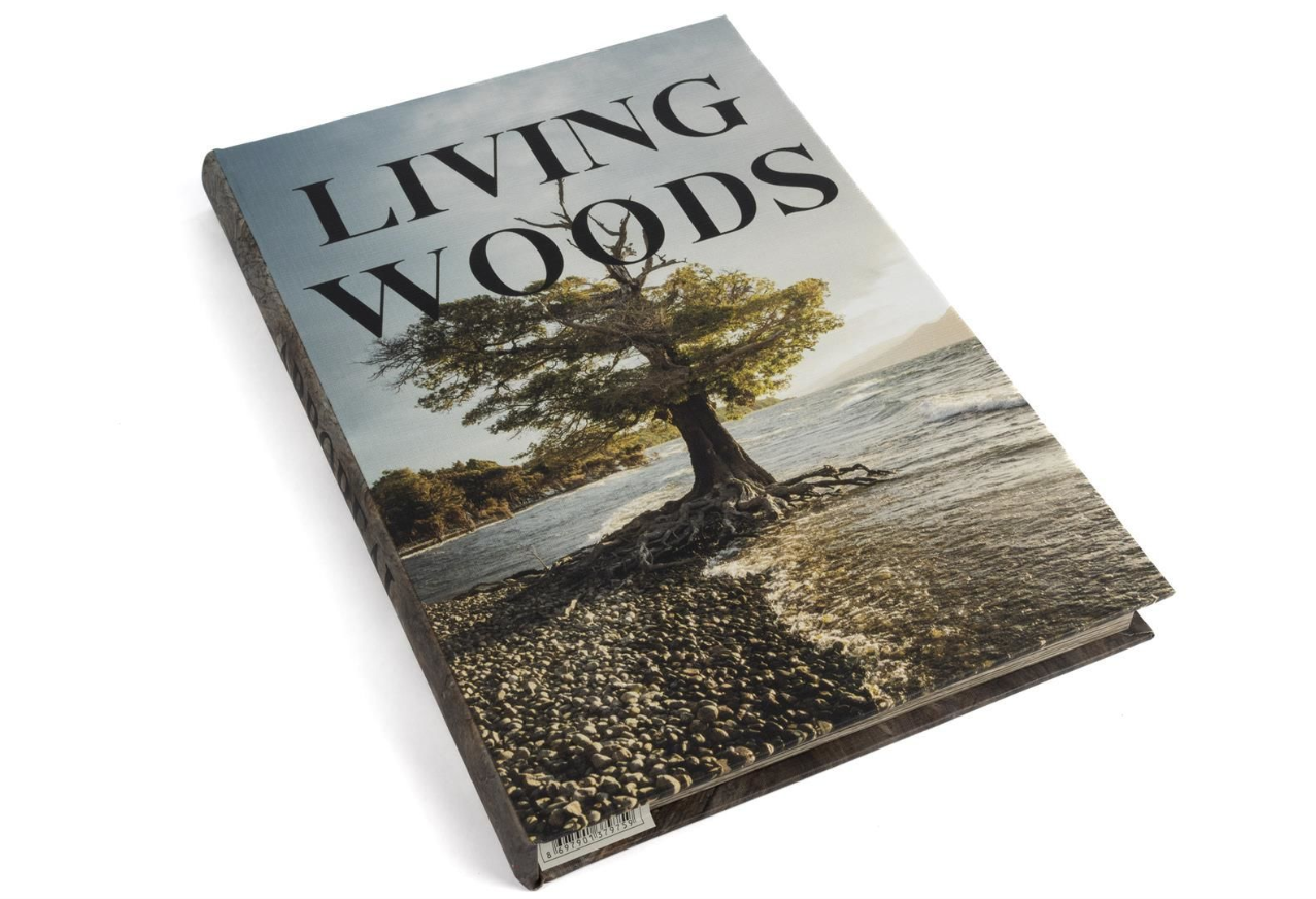 Mikasa Moor V2 35x24x3 Cm Living Woods Kitap Kutusu - Güzel Home - Obje ve Dekor