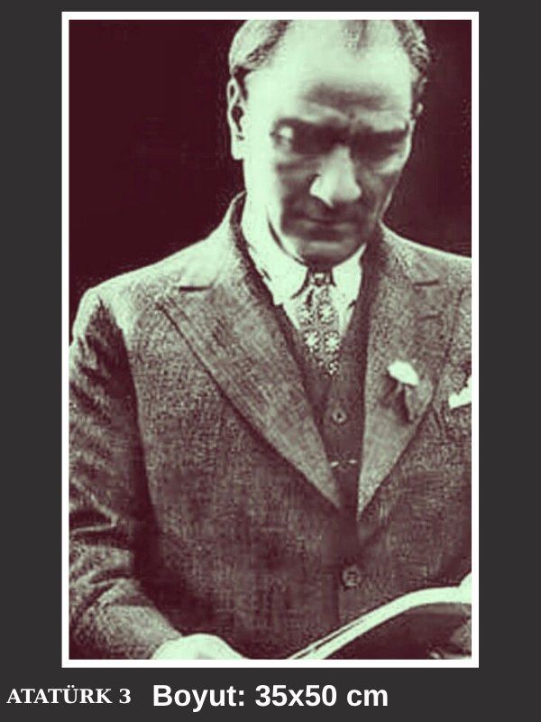 ATATÜRK VE VAZGEÇMEDİĞİ KİTAP POSTERİ