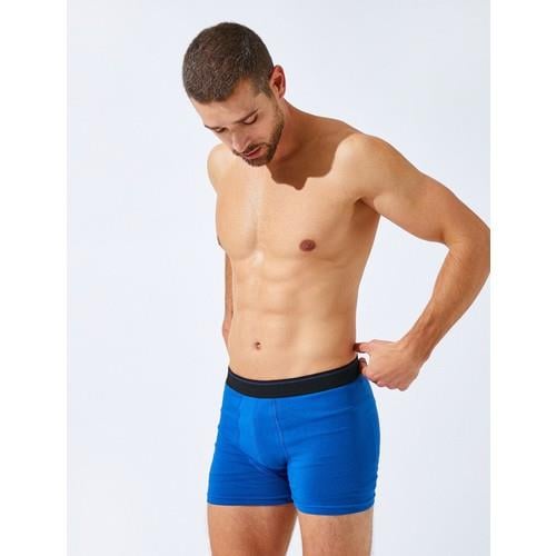 boxer-17641e42-0.jpg