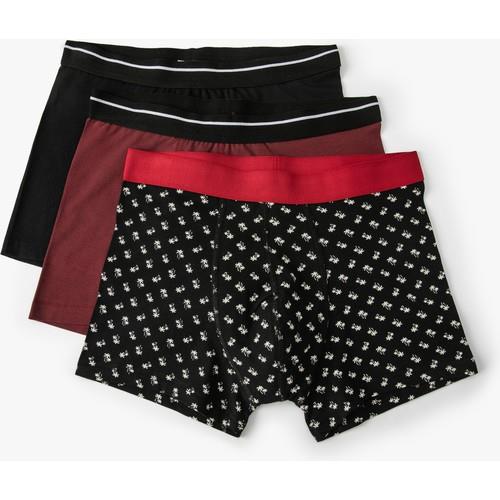 boxers-bsc-6e2-42.jpg