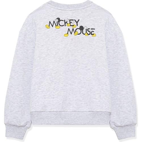 mickey-baskili-sweatshirt-ed3-d3.jpg