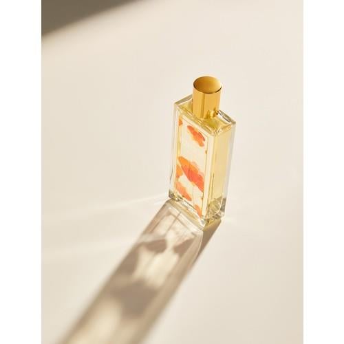 parfum-ddd851.jpg