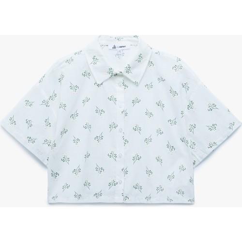 shirts-ss--97fe7.jpg