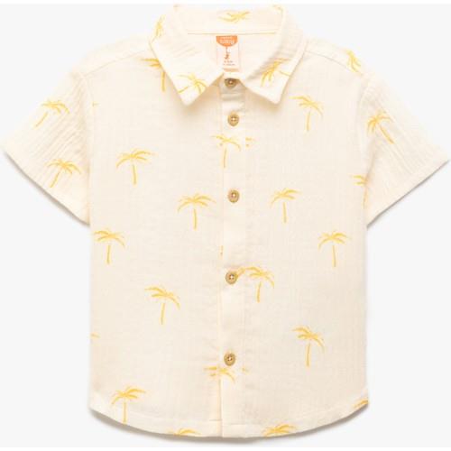 shirts-ss-197-33.jpg