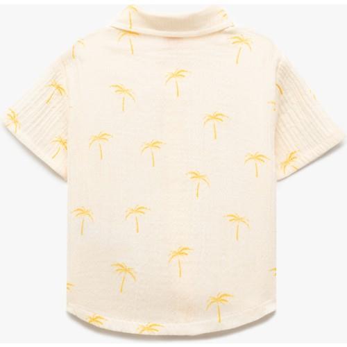 shirts-ss-1e50a4.jpg
