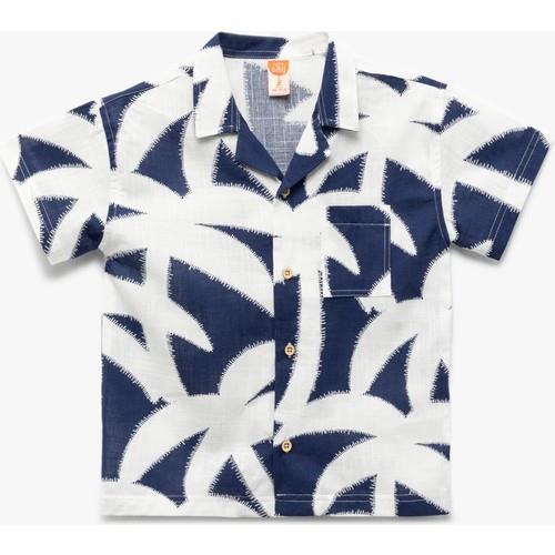 shirts-ss-38f8e9.jpg