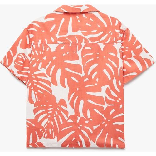 shirts-ss-842-47.jpg