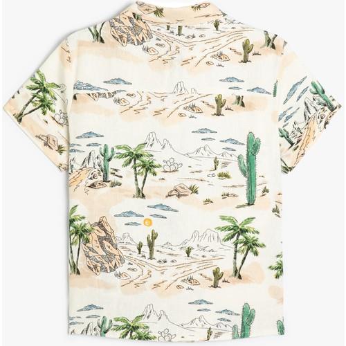 shirts-ss-d-ebee.jpg