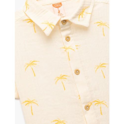 shirts-ss-d6fb-c.jpg