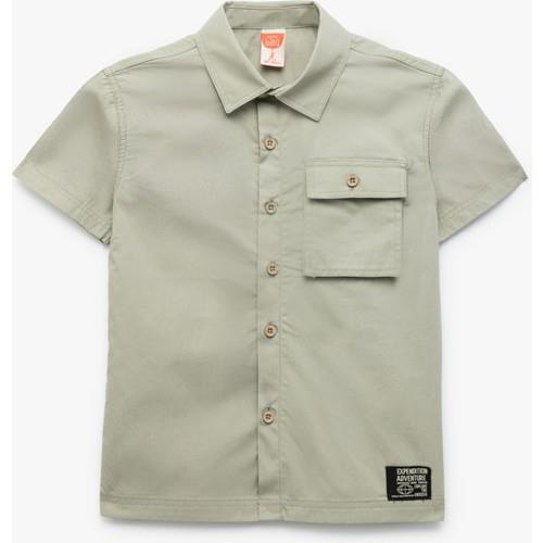 shirts-ss-e63fe3.jpg
