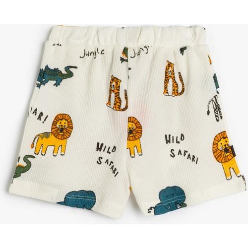 shorts--114e-.jpg