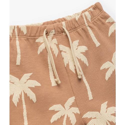shorts--a010-.jpg