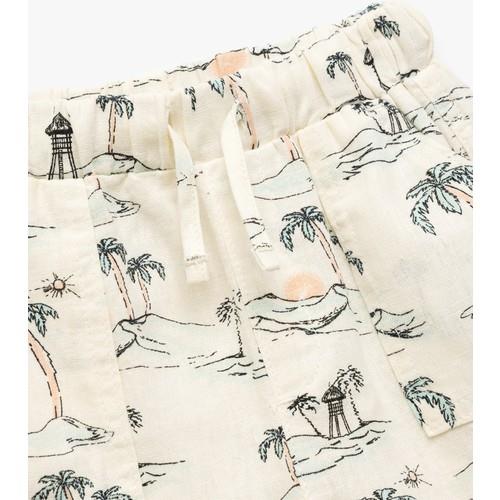 shorts-41da55.jpg
