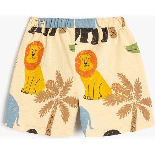 shorts-452-ca.jpg