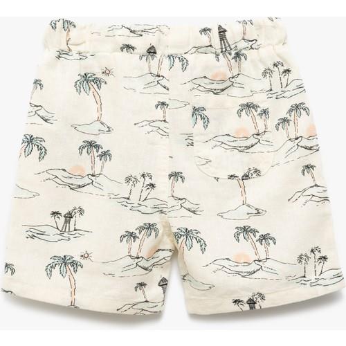 shorts-699670.jpg