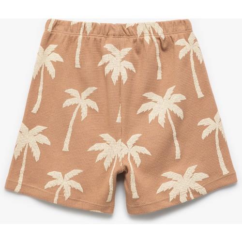 shorts-879a75.jpg