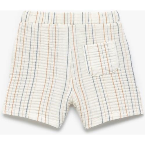 shorts-b497a1.jpg