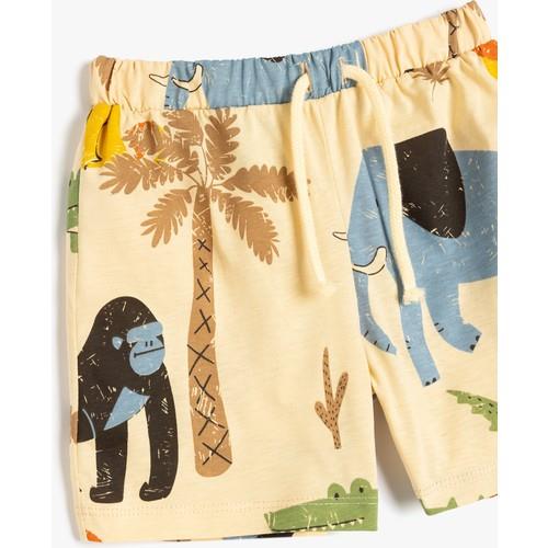 shorts-f-8330.jpg