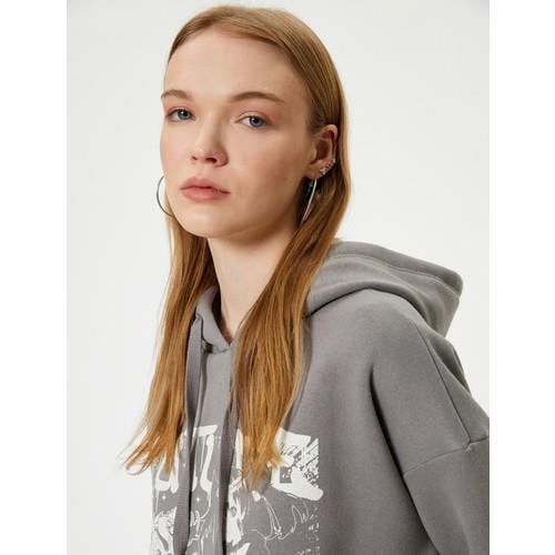 sweatshirts-f54e56.jpg