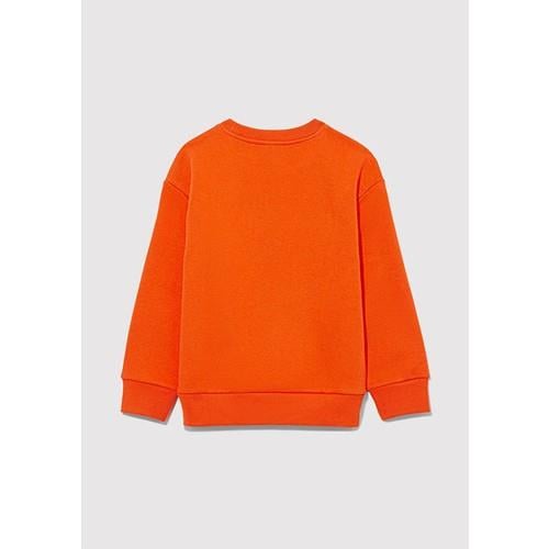 taz-baskili-sweatshirt-47c303.jpg