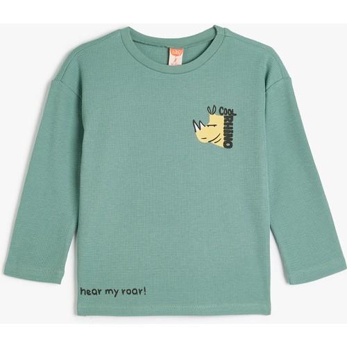 tshirt-ls-14fa72.jpg