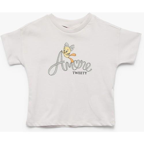 tshirt-ss--481b-.jpg