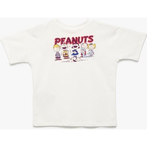 tshirt-ss--4908-.jpg