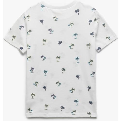 tshirt-ss--4dc2-.jpg